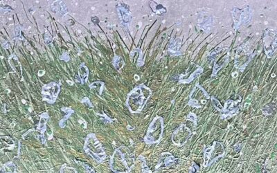 Het jaar waarin alles brak en ik mezelf weer vond.